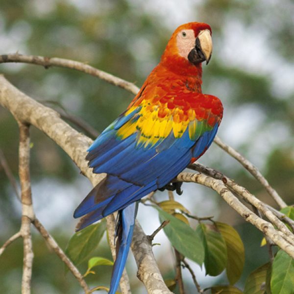 188-qlurbs7f0uga111594rykemi79zz2vbh1zalmmrka8